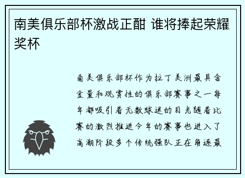 南美俱乐部杯激战正酣 谁将捧起荣耀奖杯