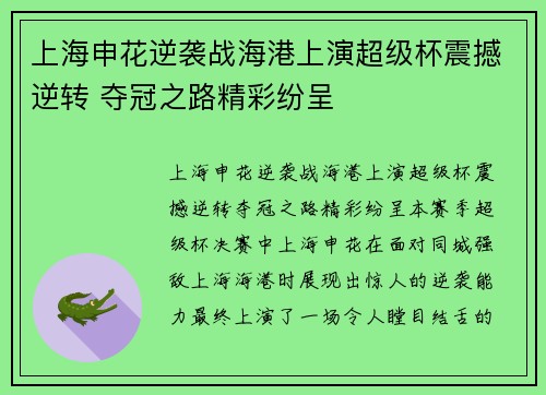 上海申花逆袭战海港上演超级杯震撼逆转 夺冠之路精彩纷呈